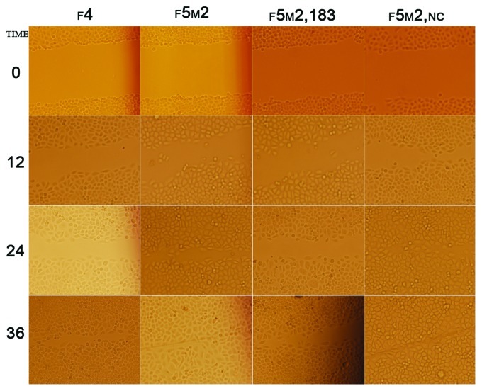 Figure 3.