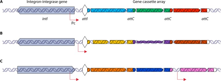 FIG 1