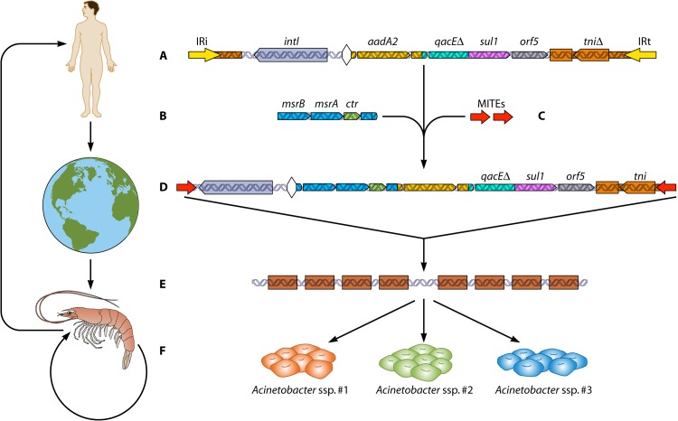 FIG 6