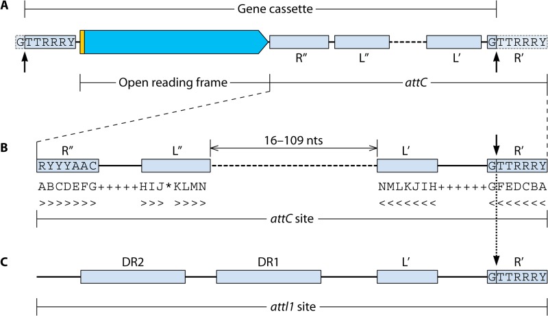 FIG 3