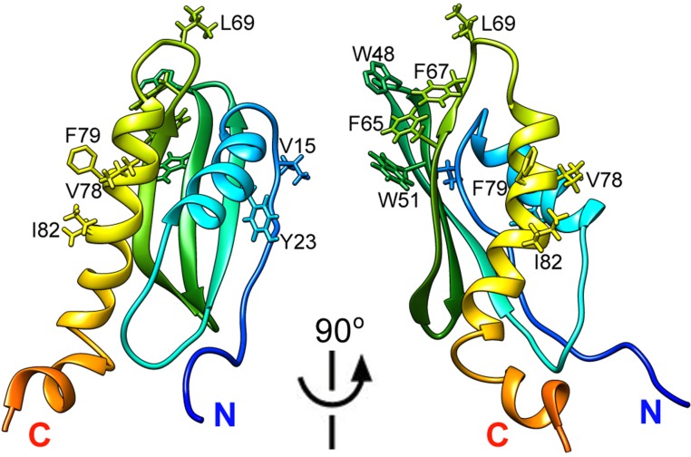 Fig. S10.