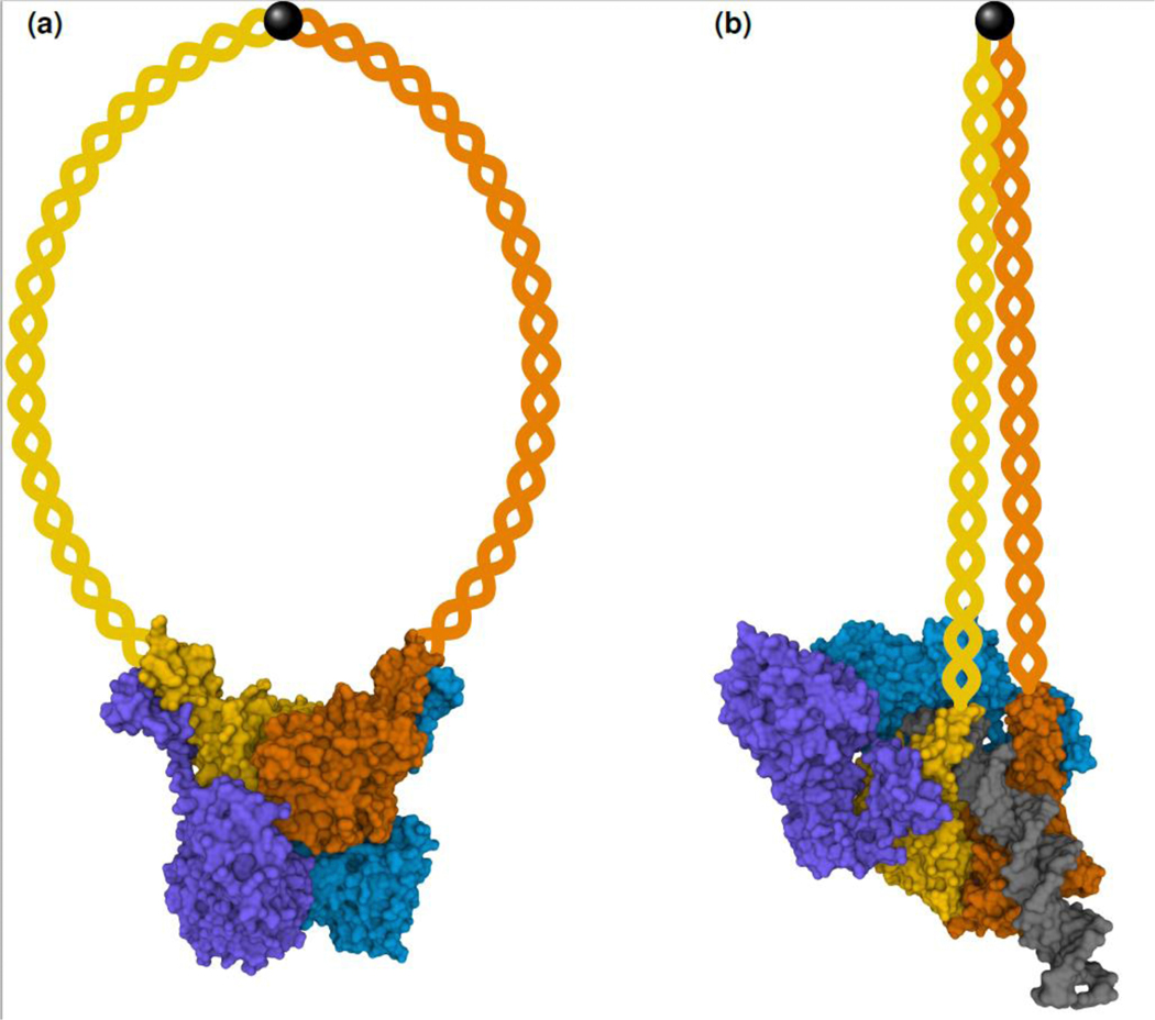 Figure 2: