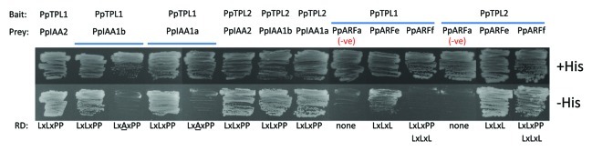 Figure 2. 