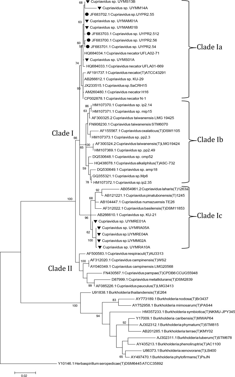 FIG 2