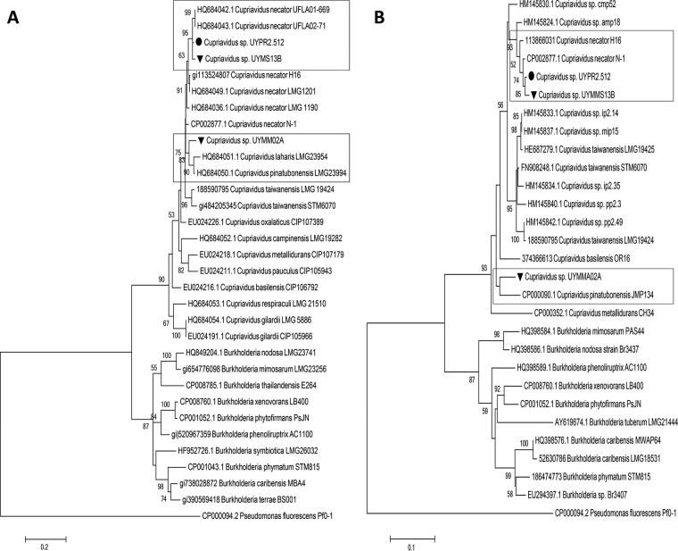 FIG 3