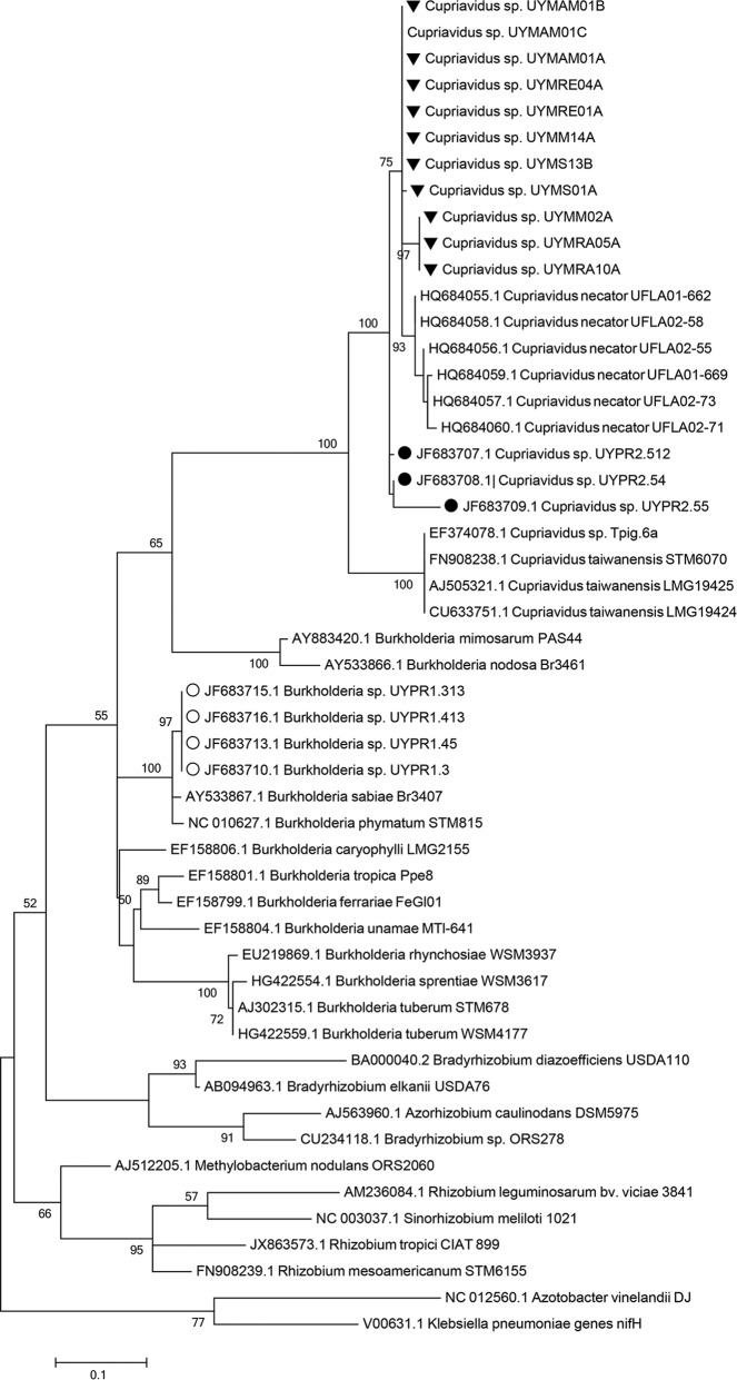 FIG 4