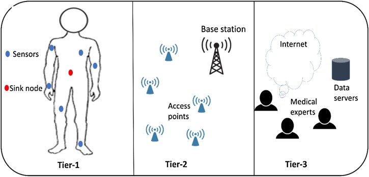 Fig. 1