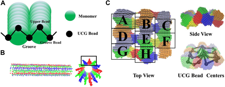 FIGURE 4