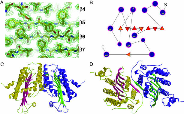 Fig. 2.