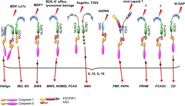 FIGURE 2