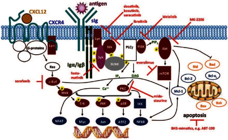 Figure 3.