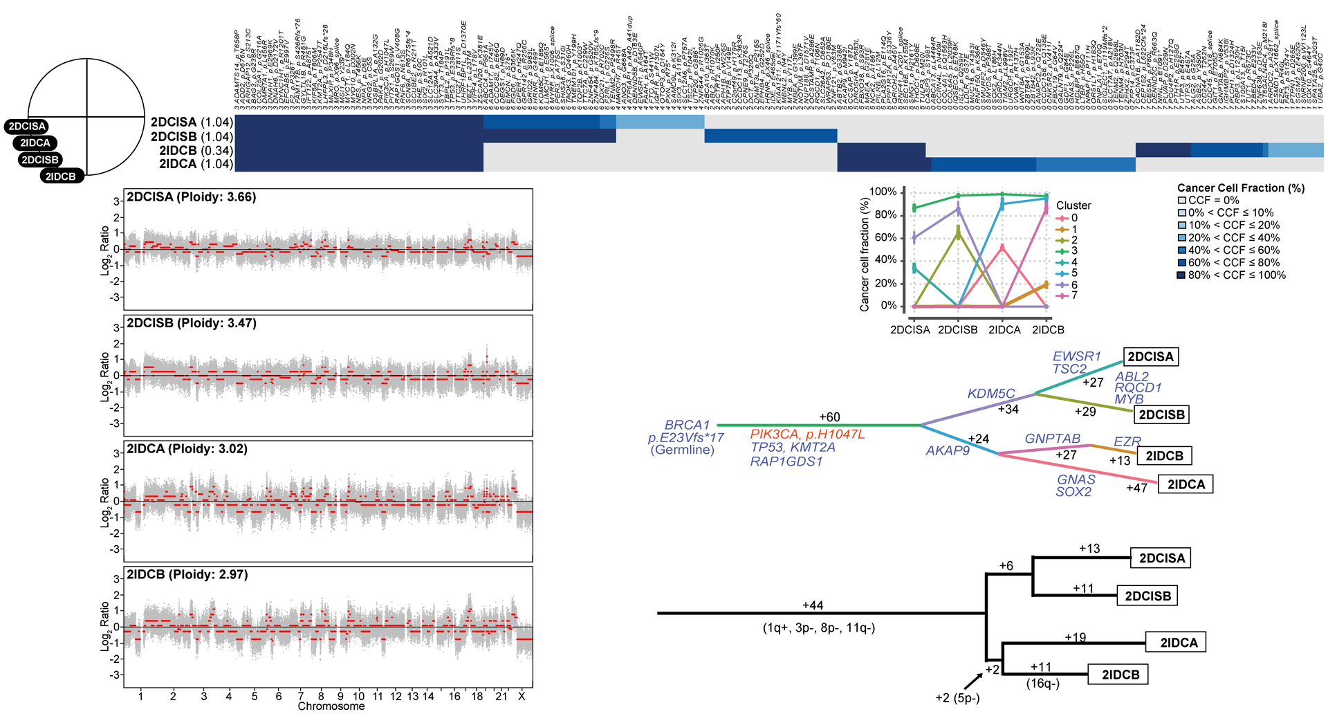 Figure 3: