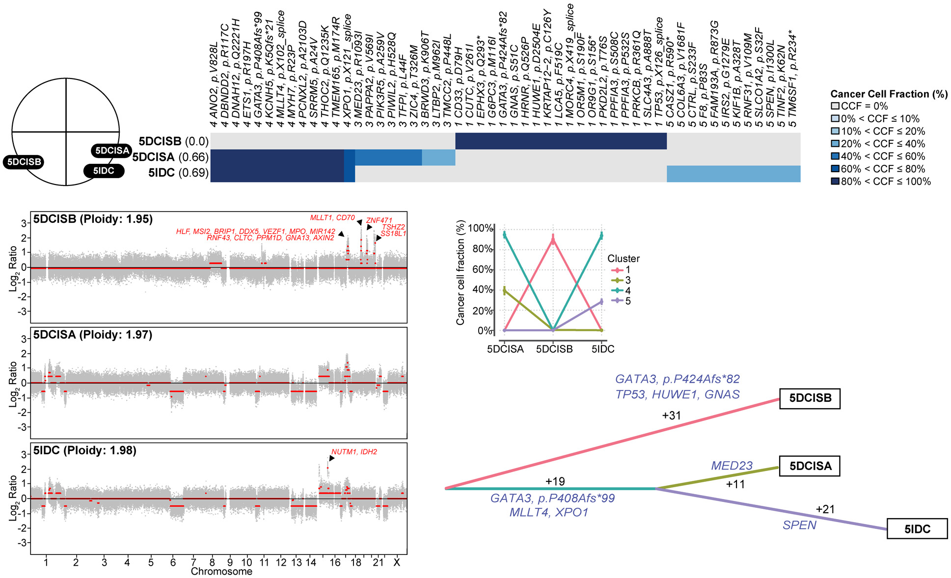 Figure 4: