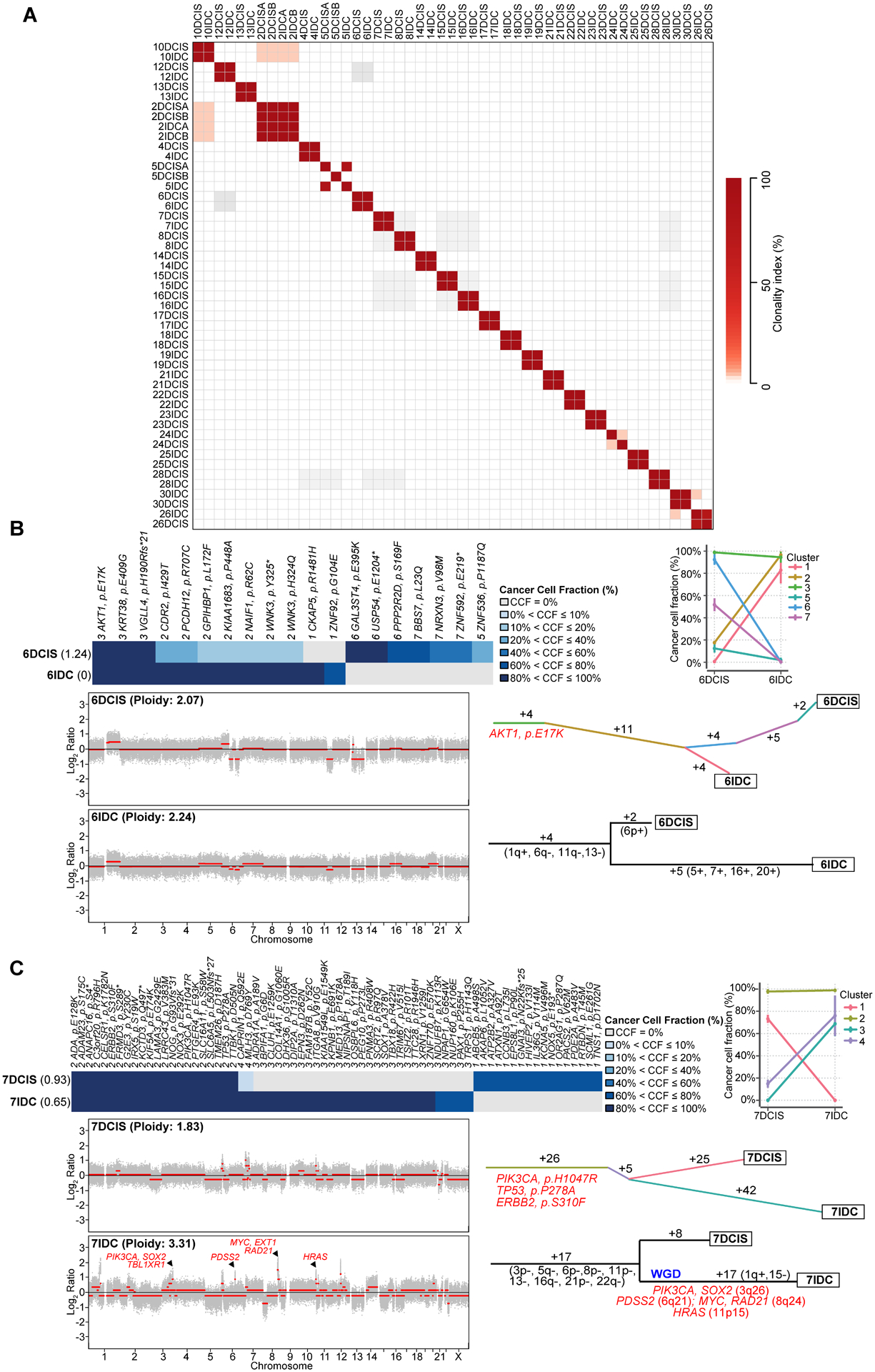 Figure 2: