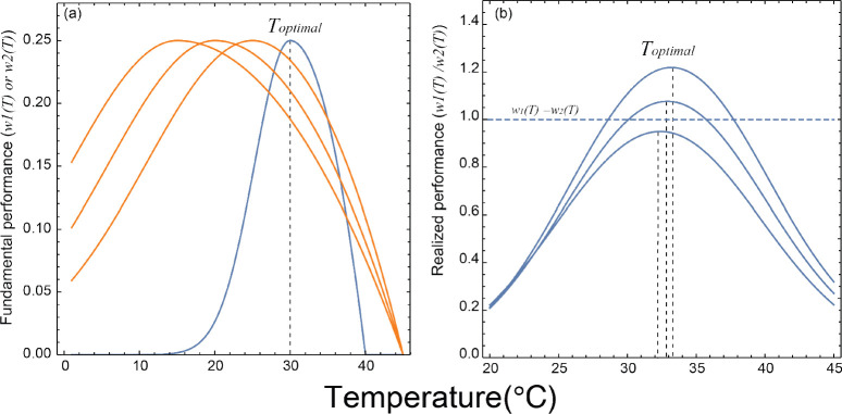 Figure 1—figure supplement 1.