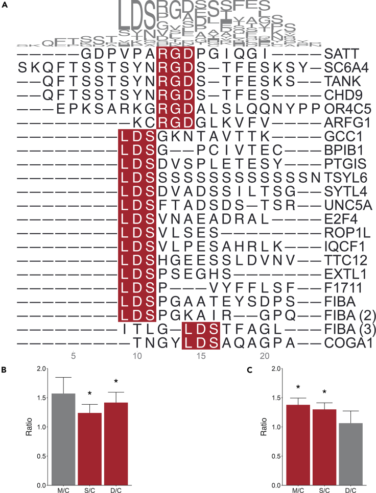 Figure 6