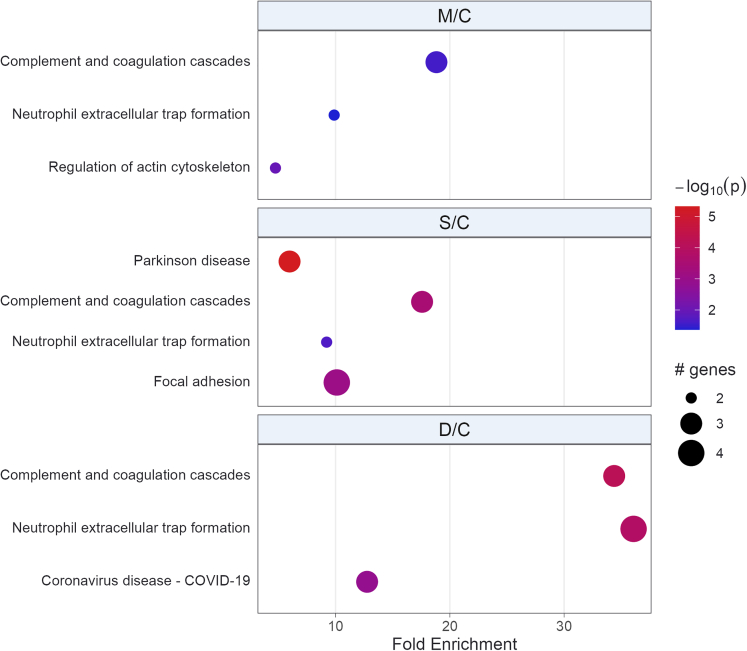 Figure 4