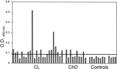 FIG. 1.