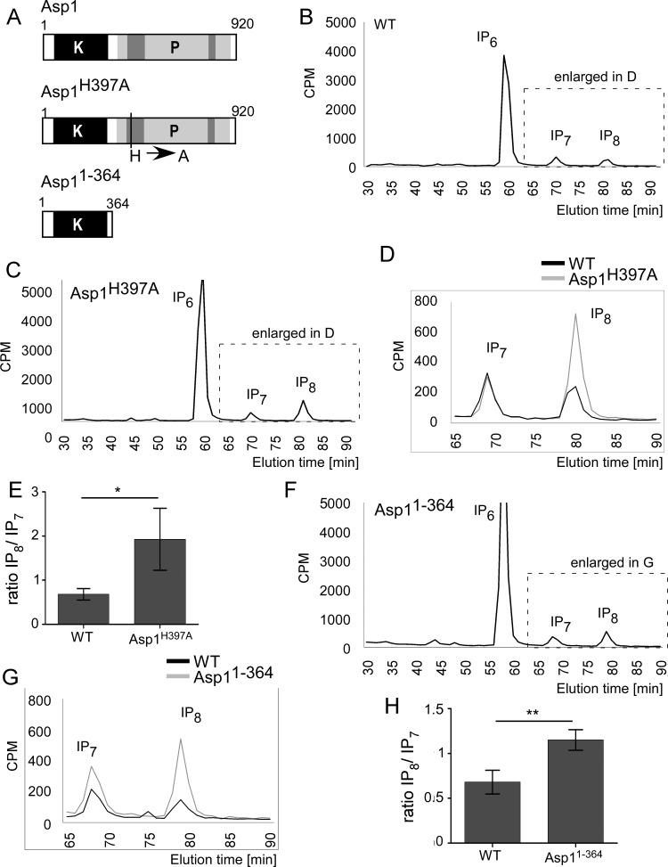 FIG 6