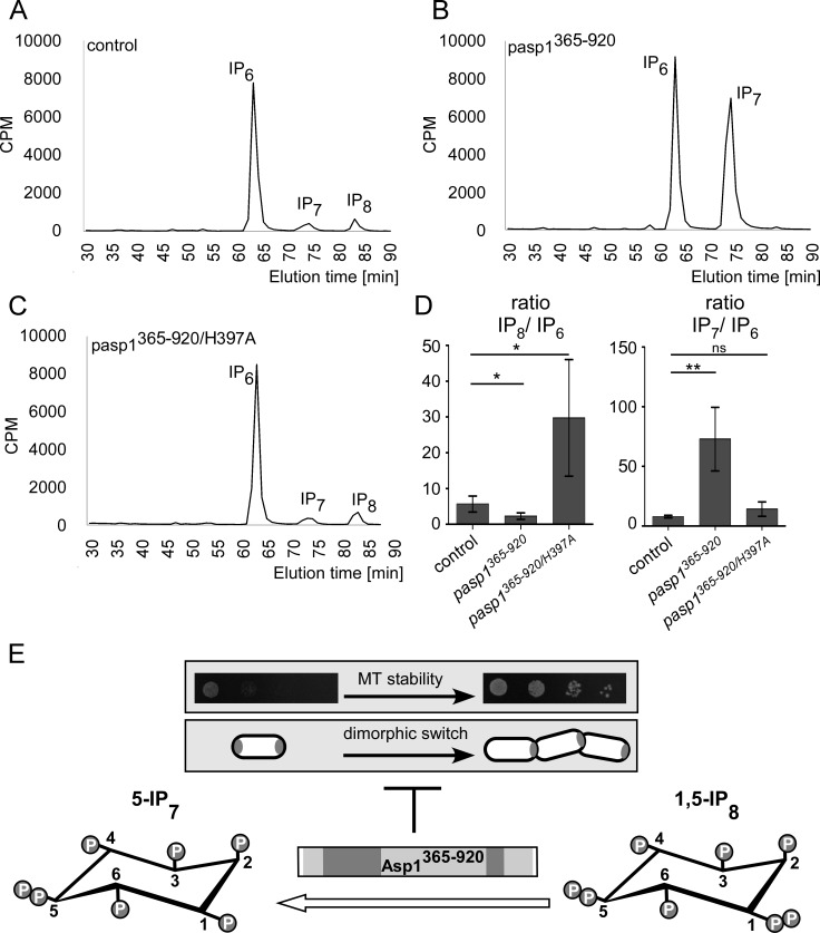 FIG 3