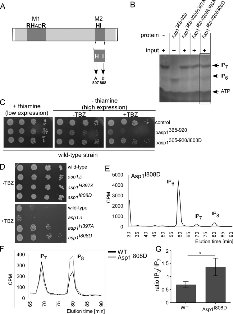 FIG 8