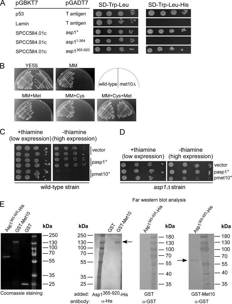 FIG 9