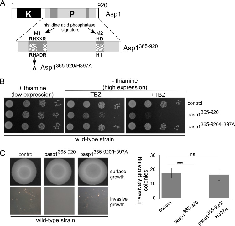 FIG 2