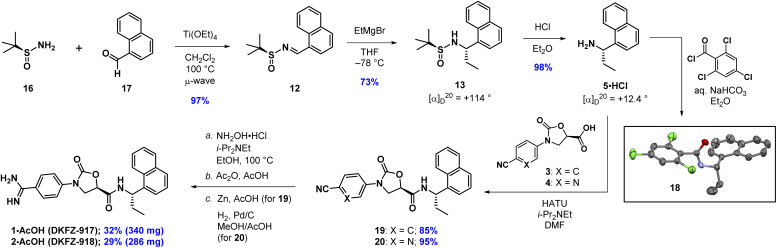 Scheme 2