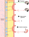 FIGURE 11.