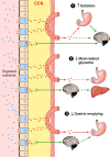 FIGURE 9.