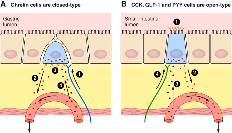 FIGURE 6.