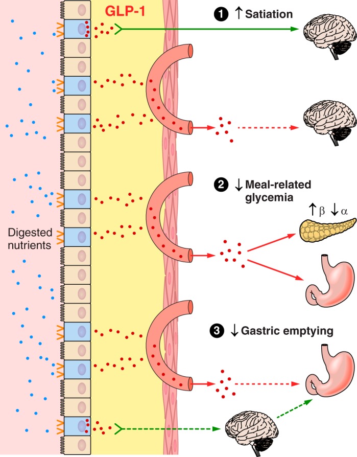 FIGURE 10.