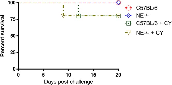 FIG 2