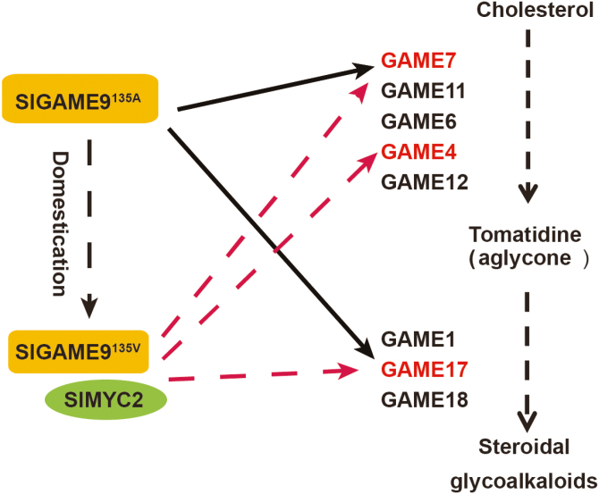 Fig. 4.