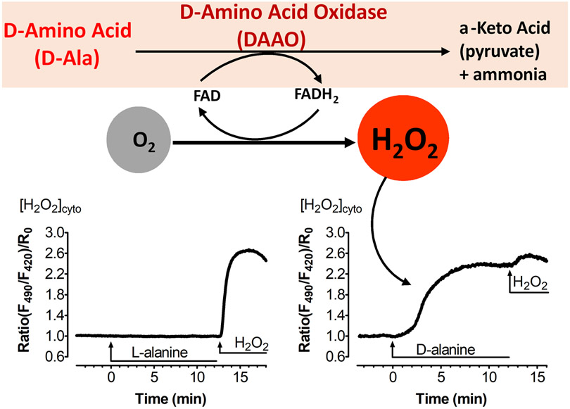 Figure 1: