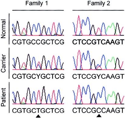 Figure  4