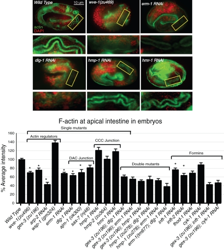 Figure 4: