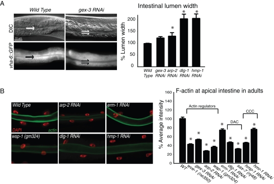 Figure 2: