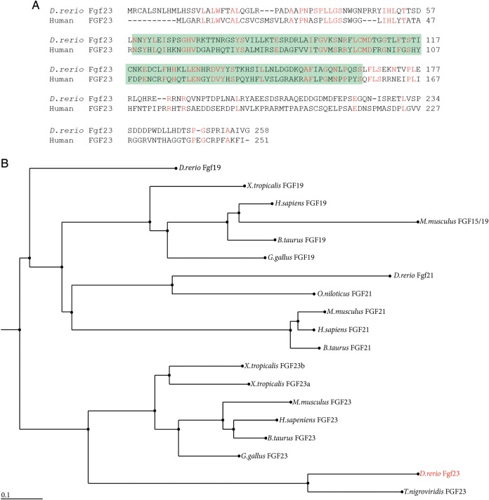 Fig. 1.