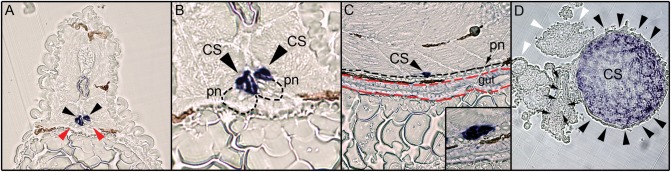 Fig. 4.