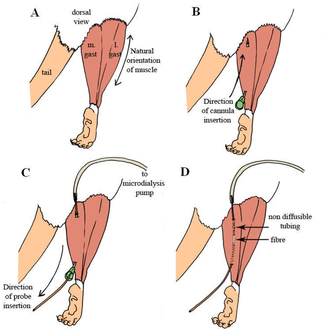 Fig 6