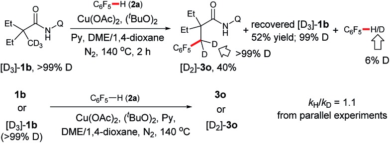 Scheme 3