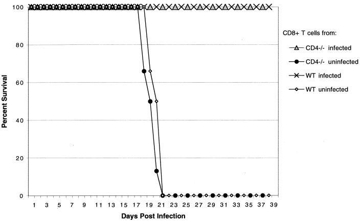 FIG. 8