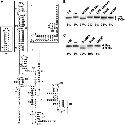 FIGURE 4.