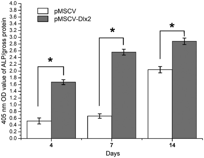 Figure 5.