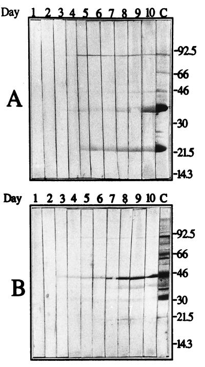 FIG. 5