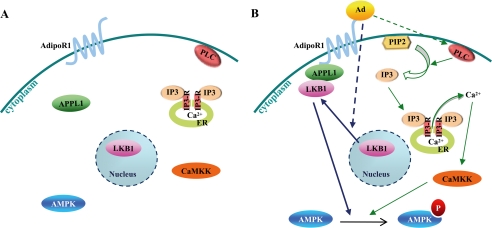 FIGURE 7.