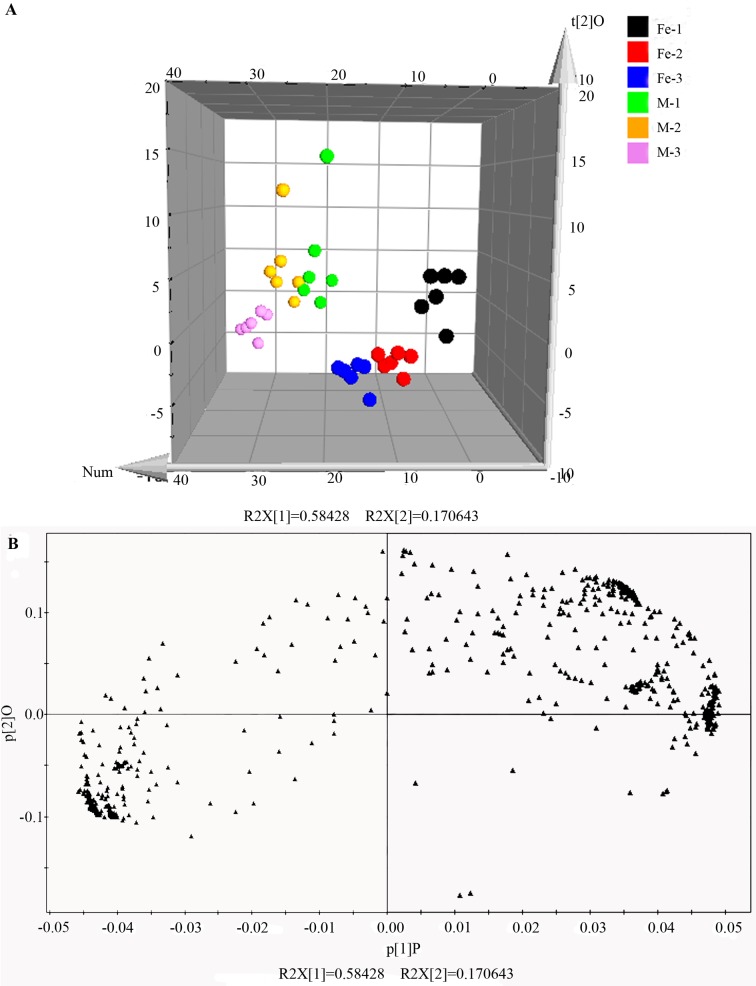 Fig 5