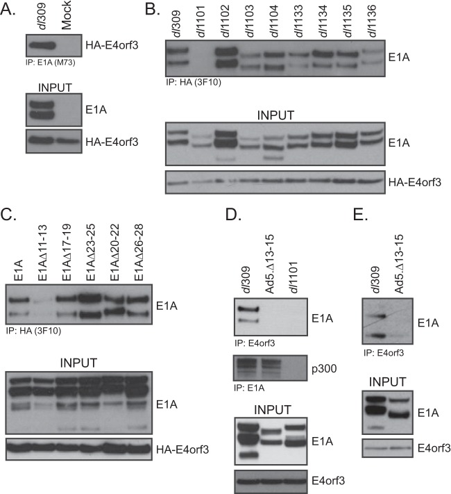 FIG 1