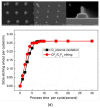 Figure 25